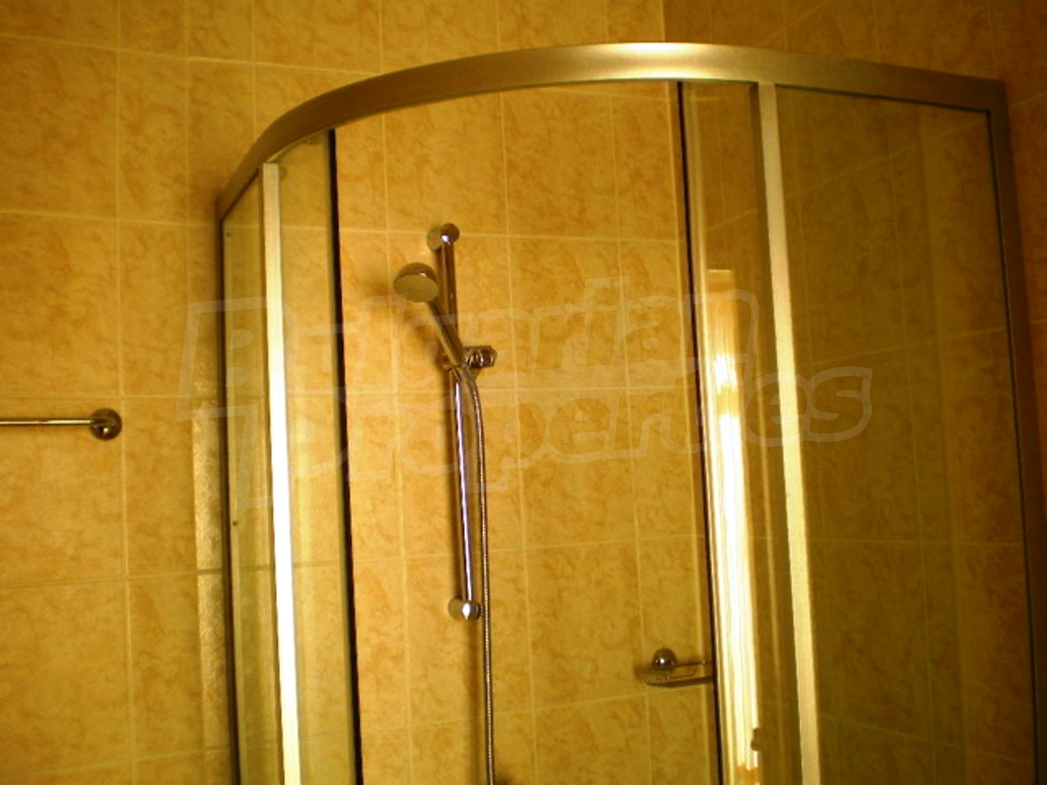 Gallery Picture 17