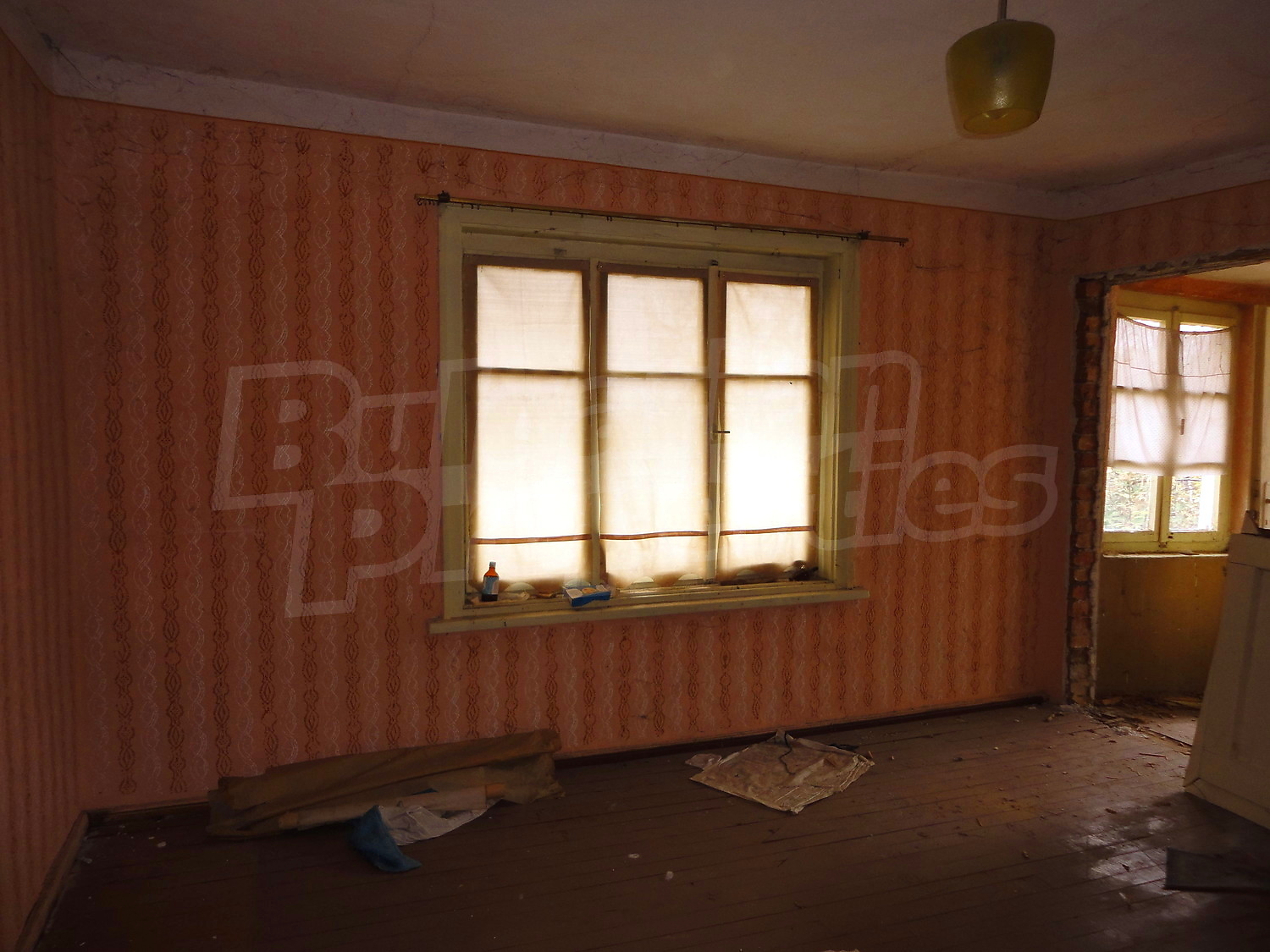 Gallery Picture 12