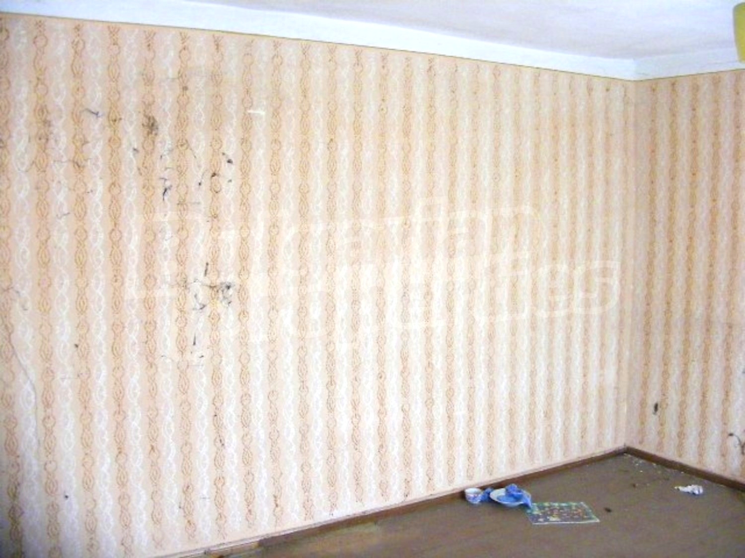 Gallery Picture 13