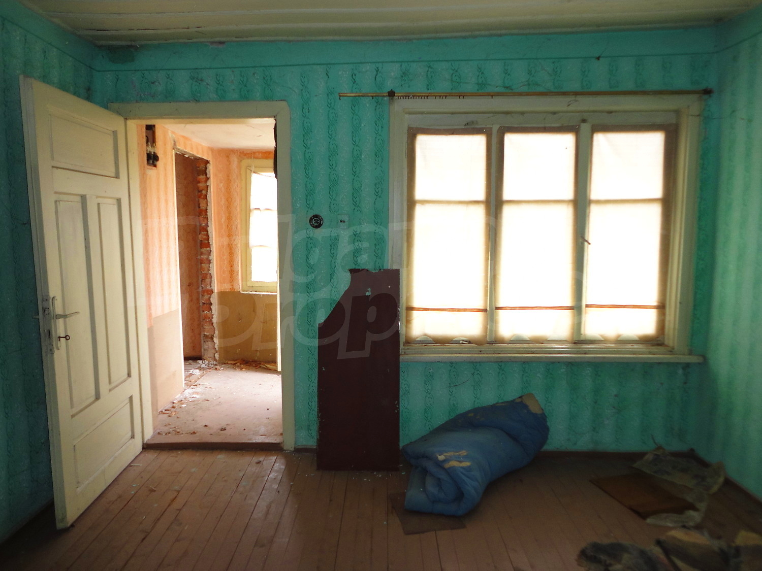 Gallery Picture 16