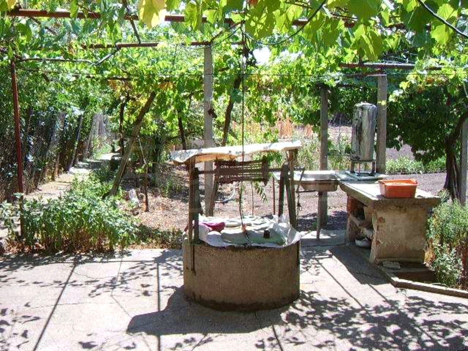 Gallery Picture 25