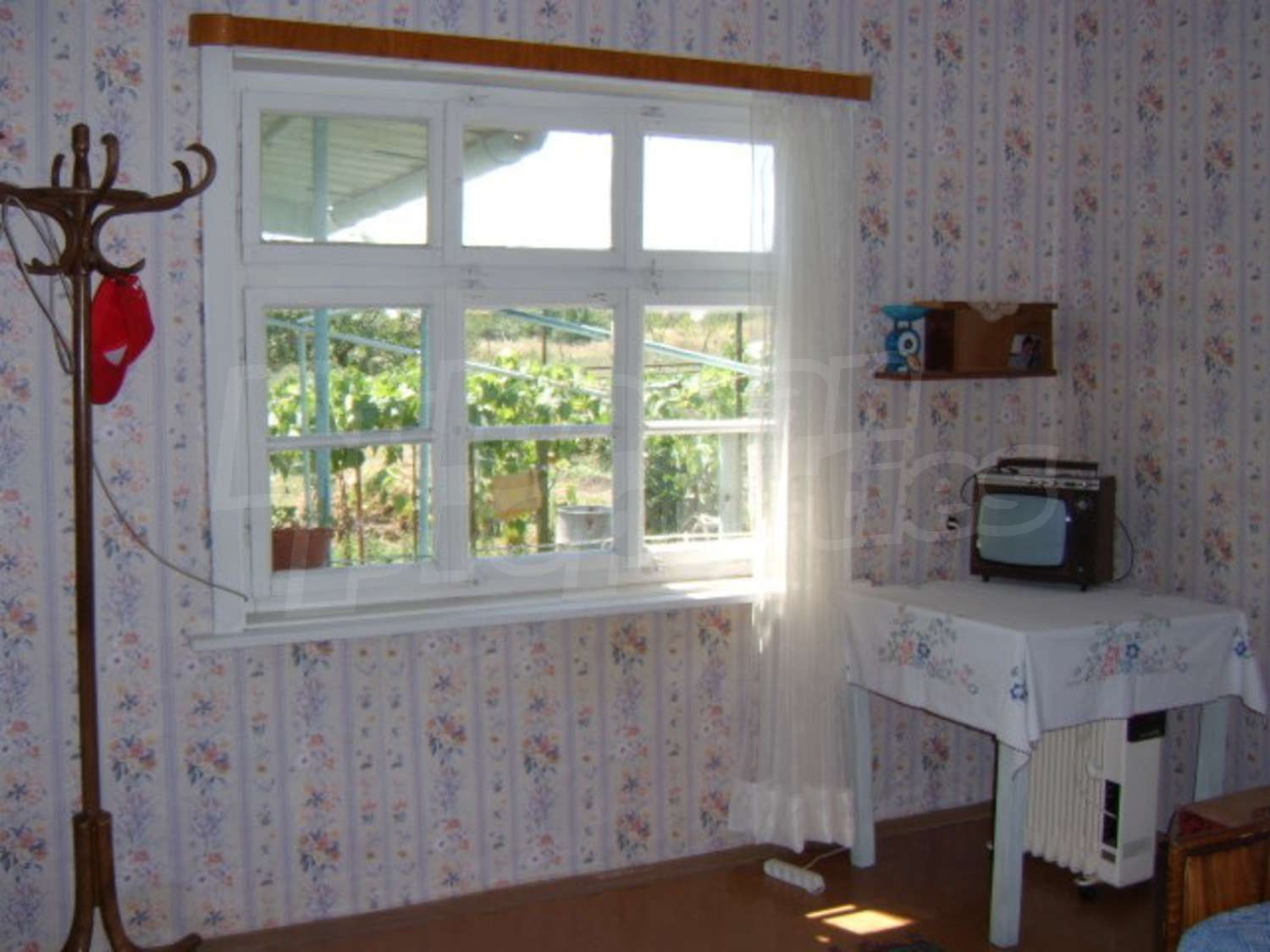 Gallery Picture 14