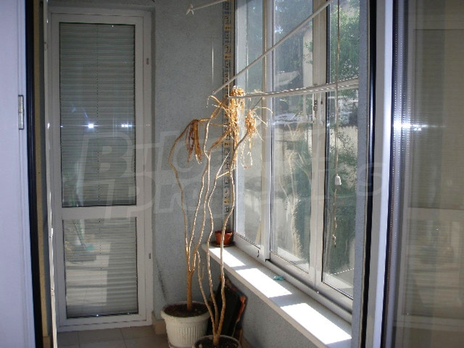 Gallery Picture 18