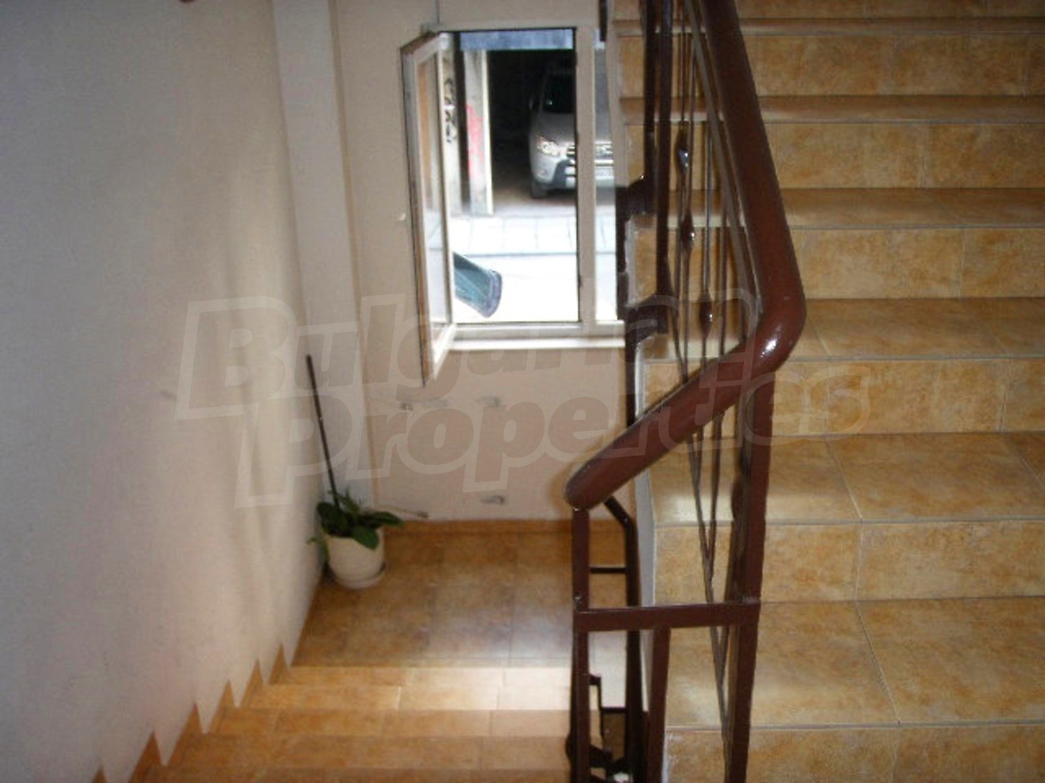 Gallery Picture 20