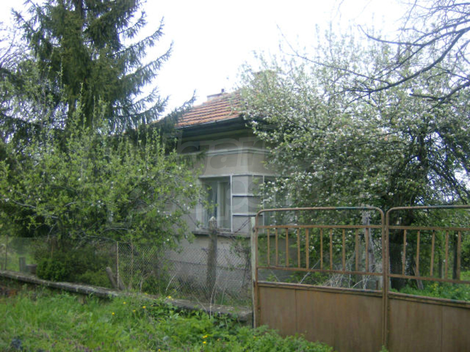 Gallery Picture 10