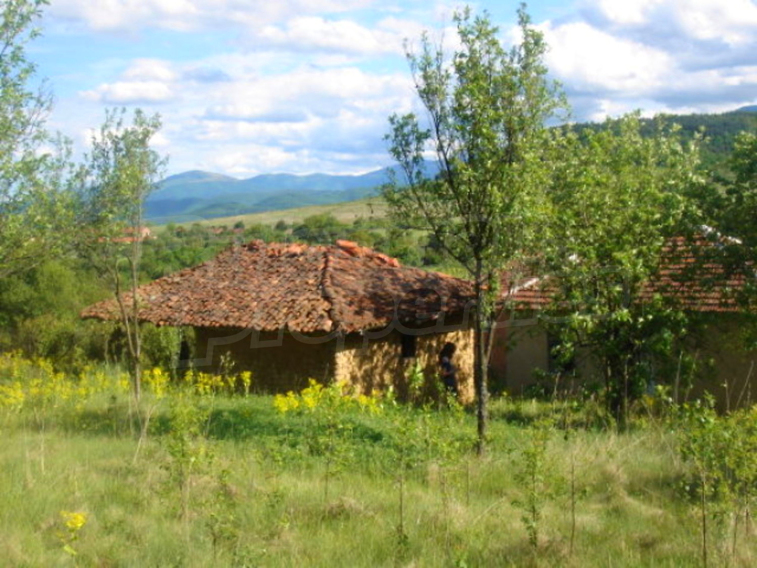Gallery Picture 10