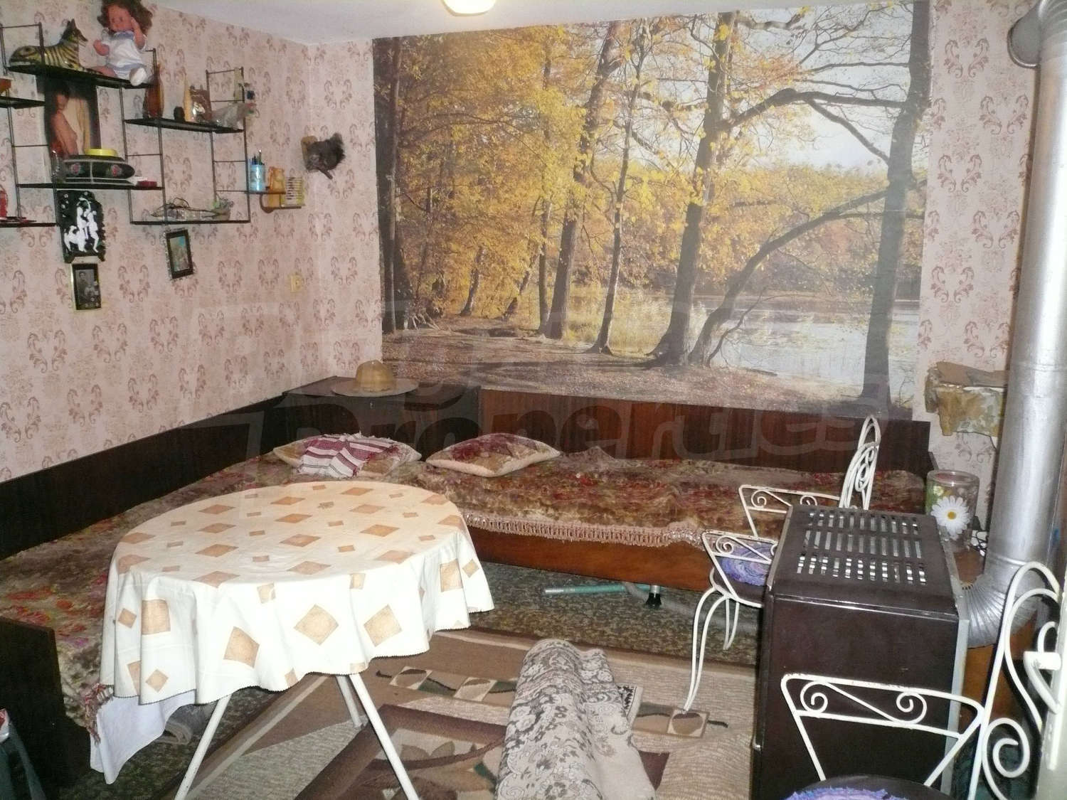 Gallery Picture 5