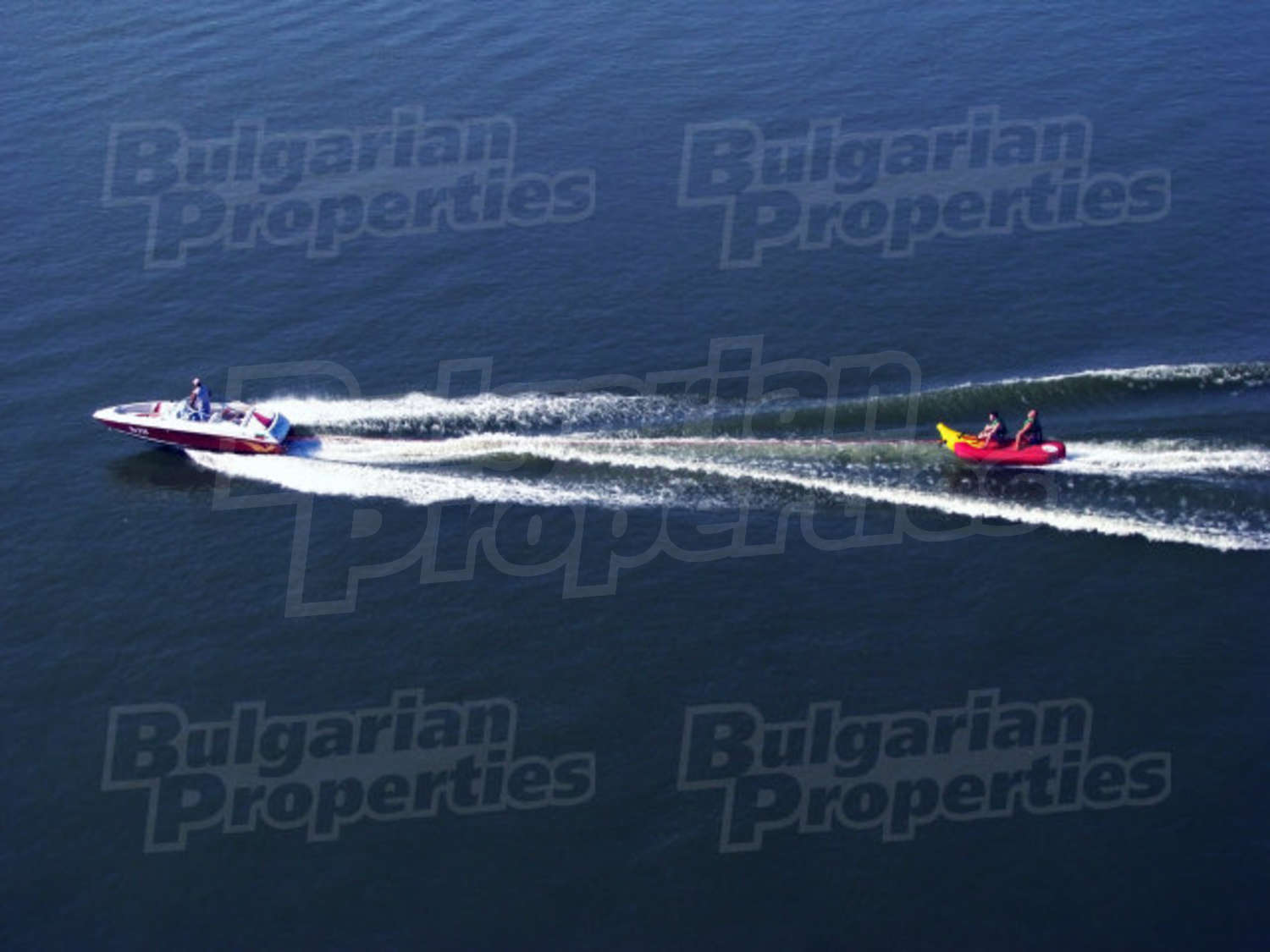 Gallery Picture 19
