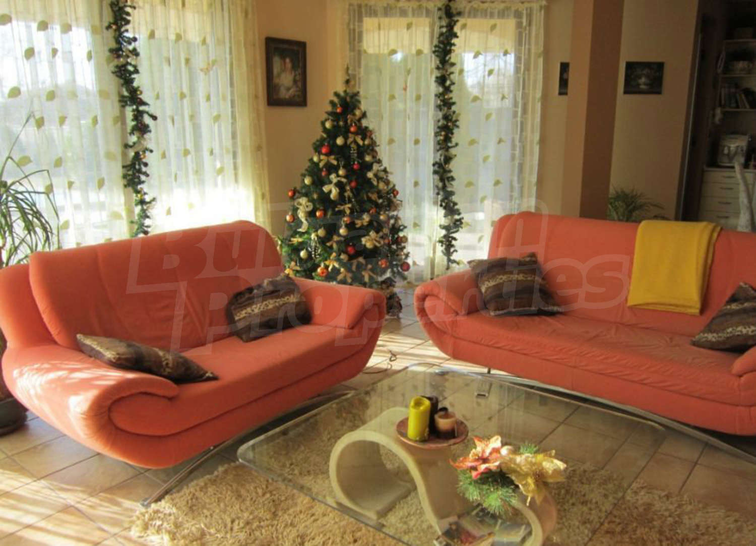 Gallery Picture 5