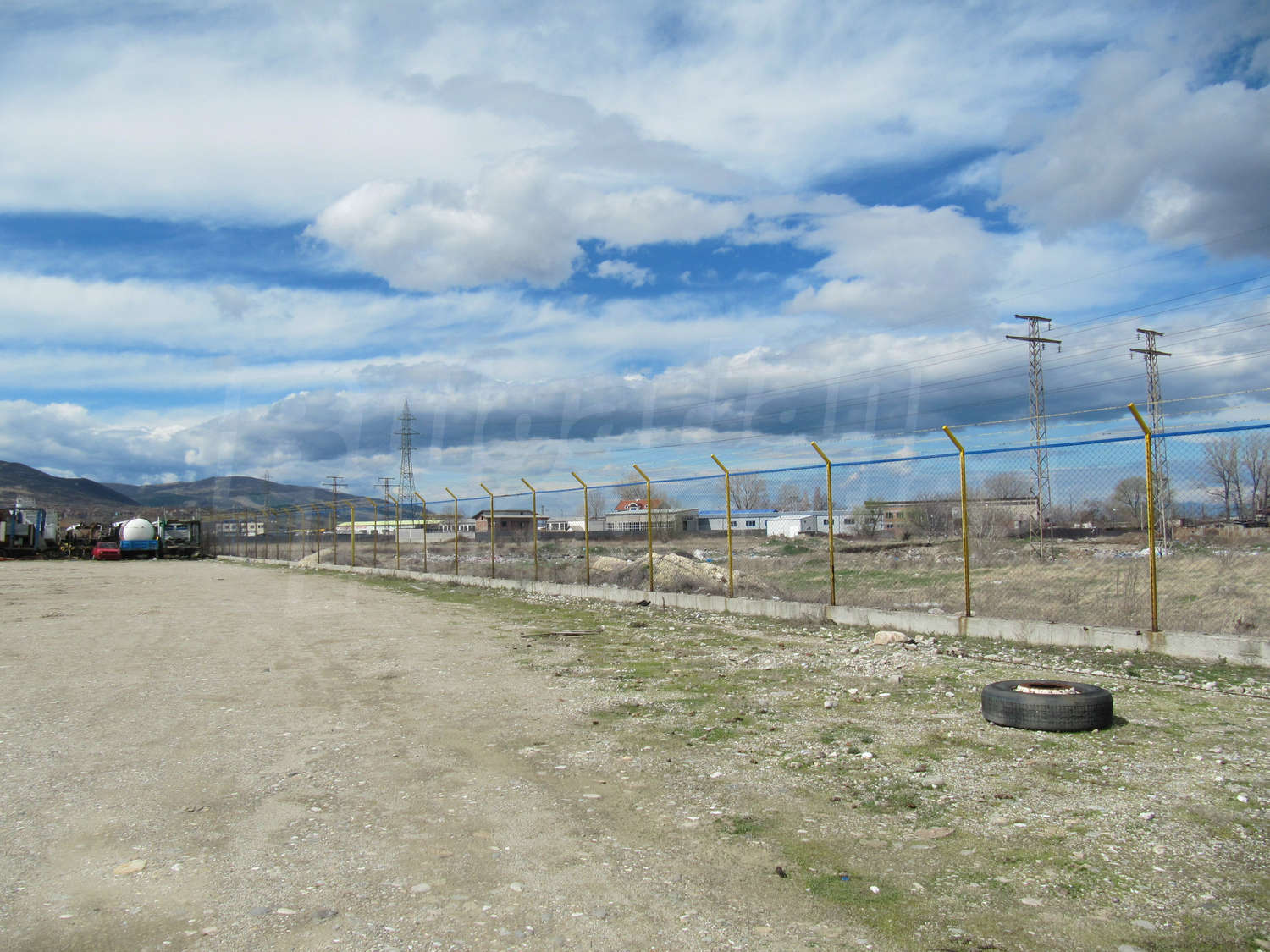 Gallery Picture 37