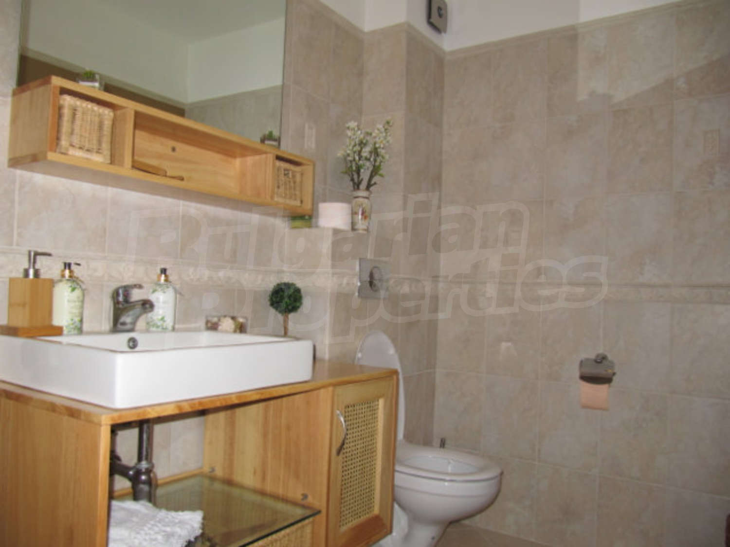Gallery Picture 19