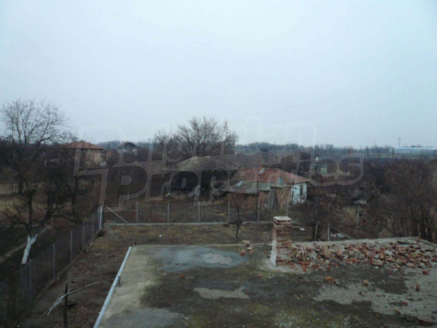 Gallery Picture 19