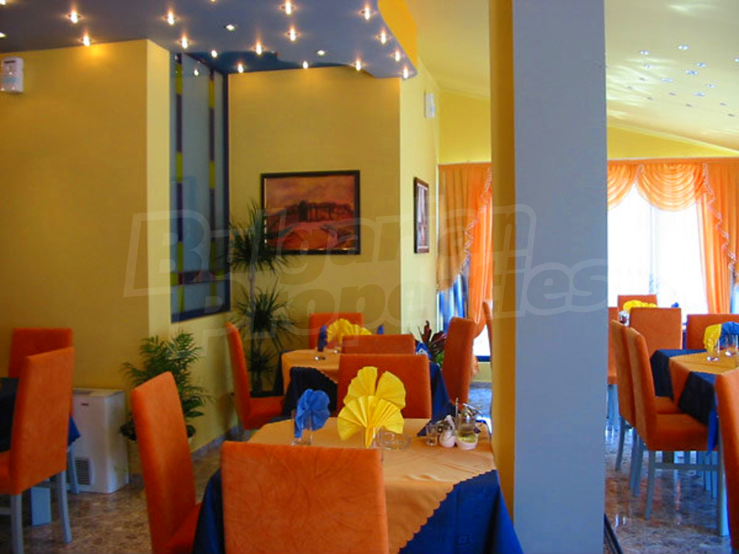 Gallery Picture 11