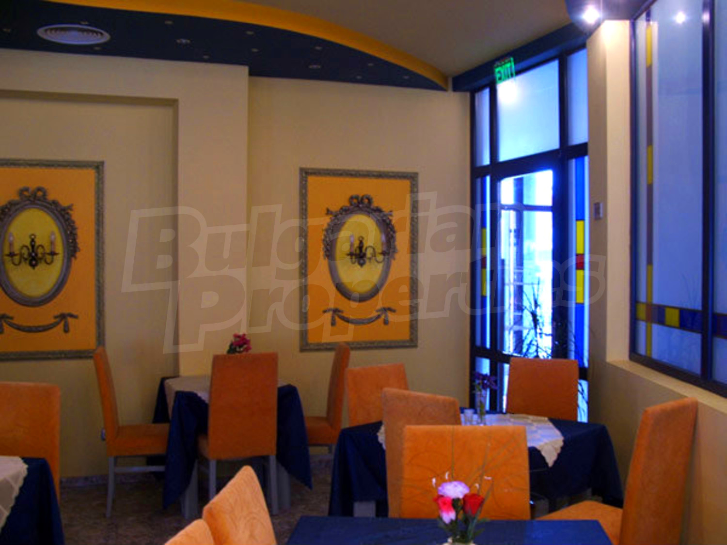 Gallery Picture 16