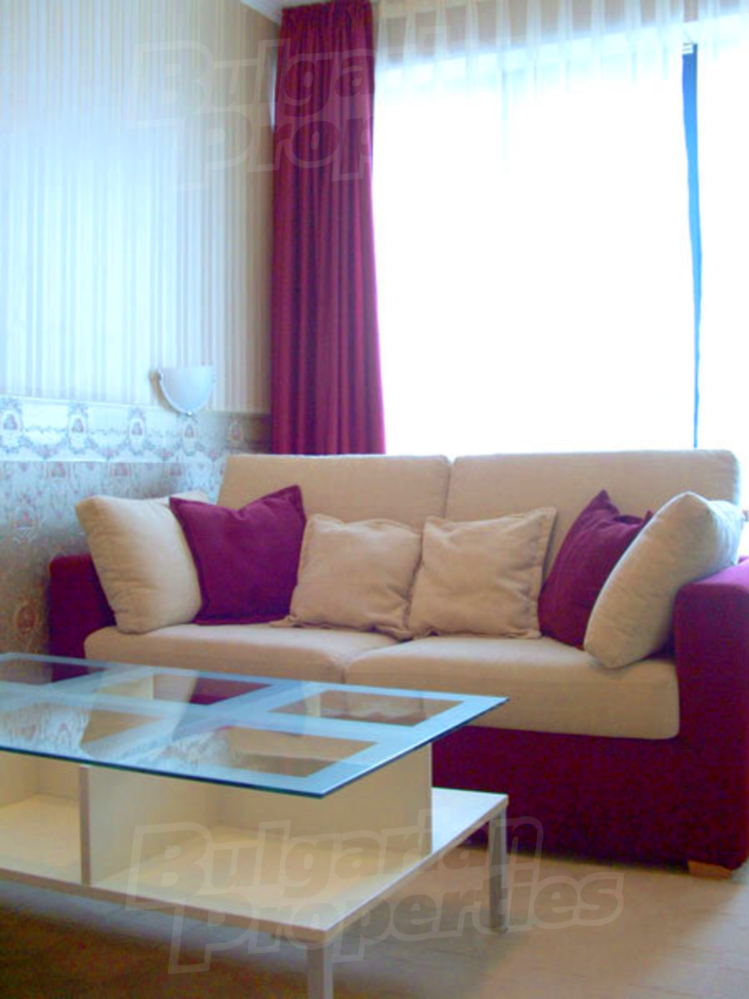 Gallery Picture 49