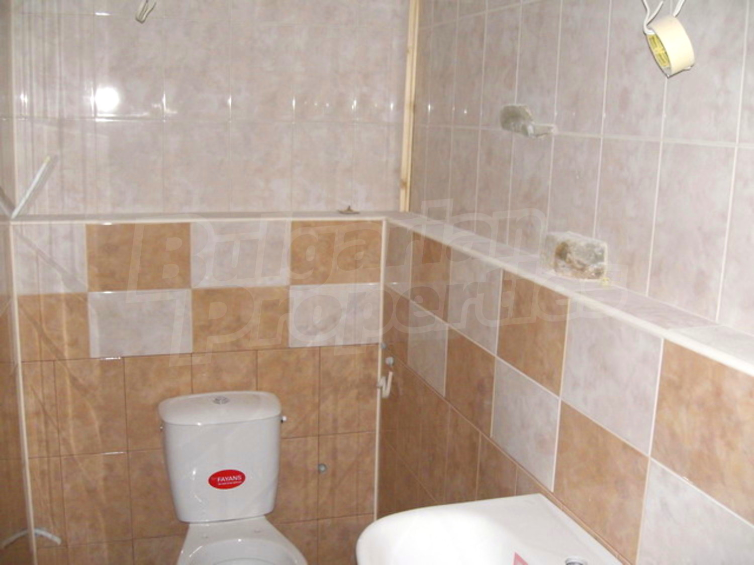 Gallery Picture 22