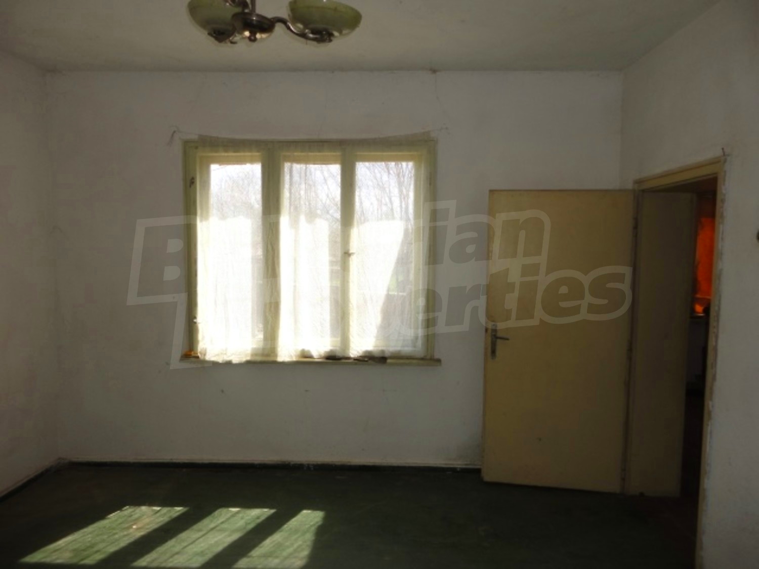 Gallery Picture 12