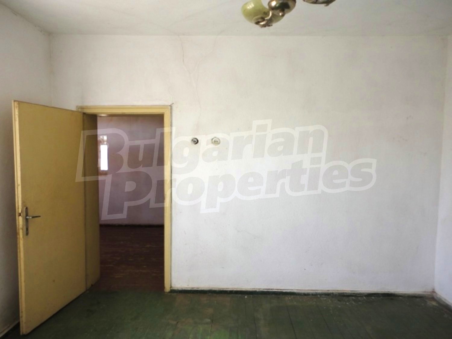 Gallery Picture 13