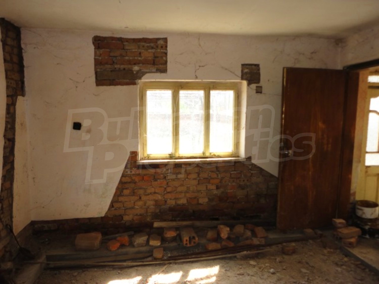 Gallery Picture 22