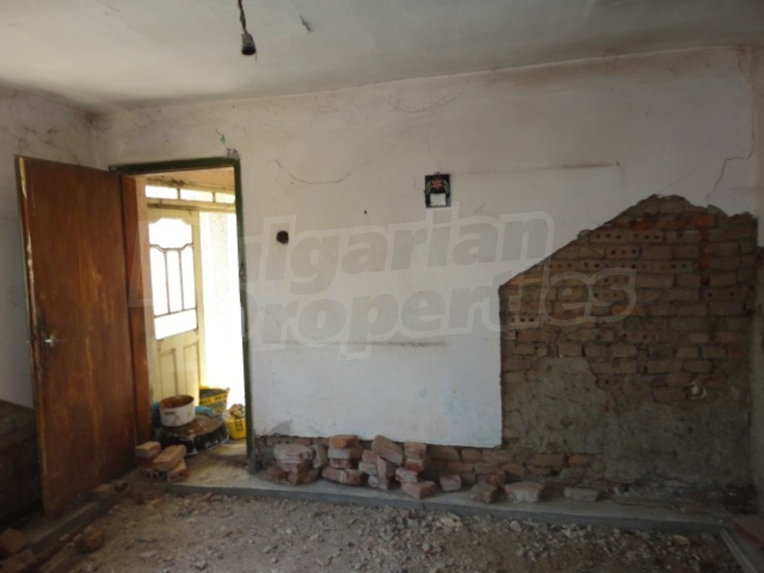 Gallery Picture 23