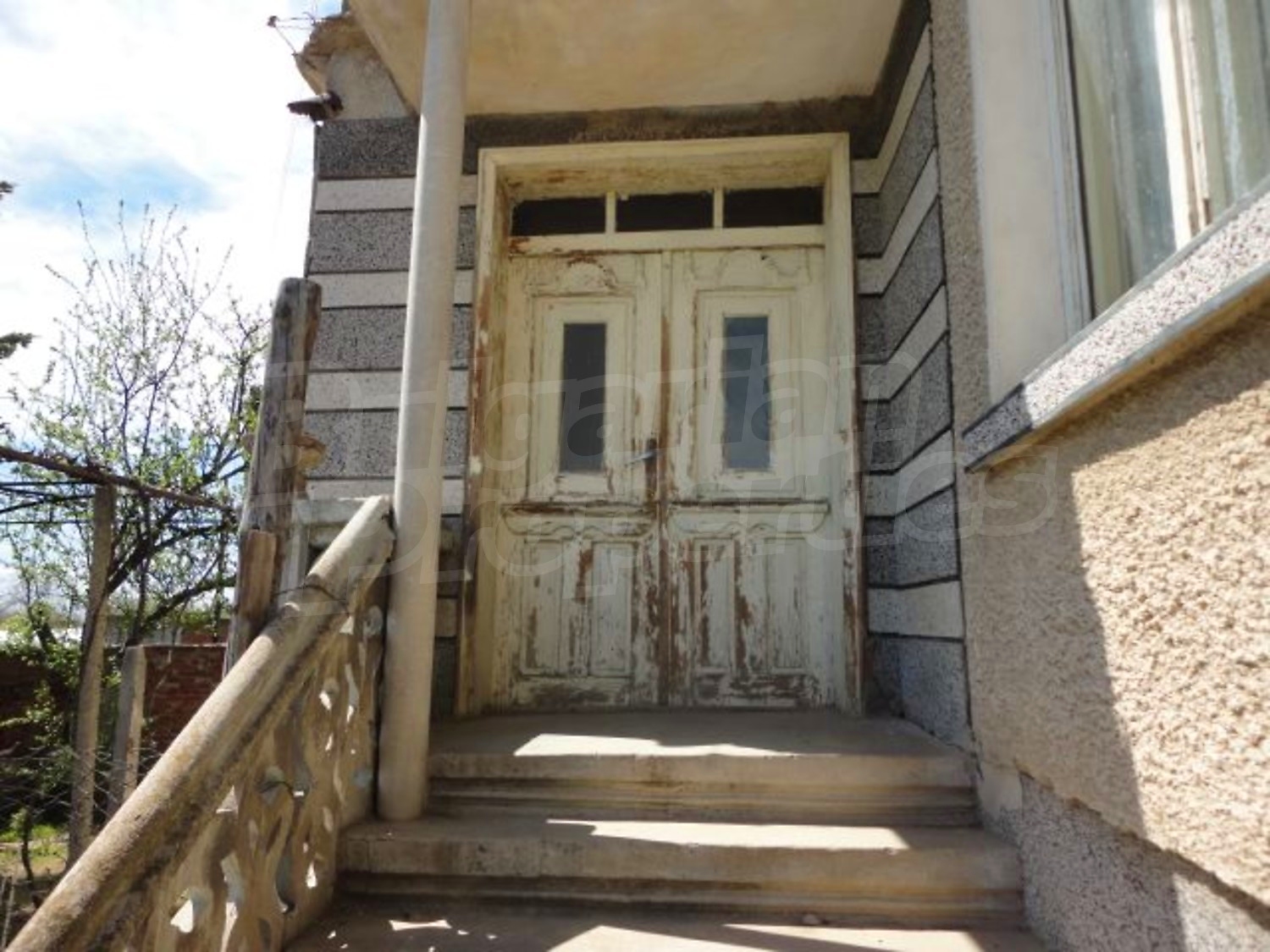 Gallery Picture 7