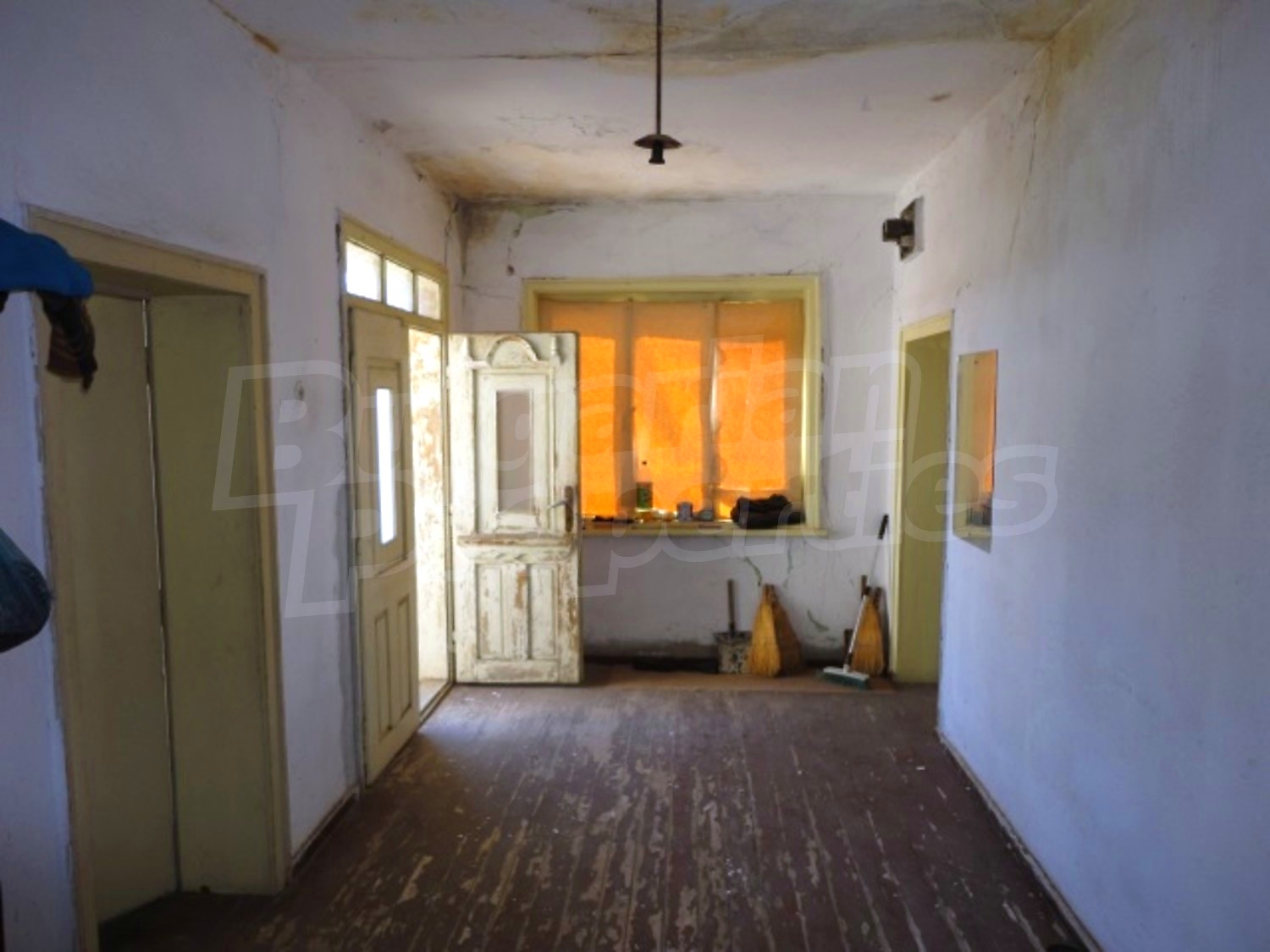 Gallery Picture 9