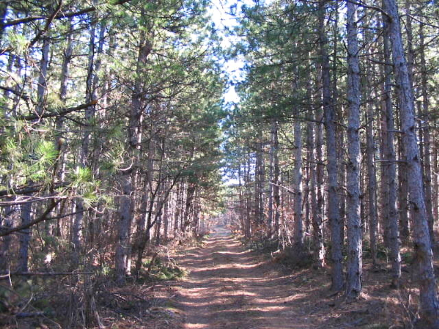 Gallery Picture 10