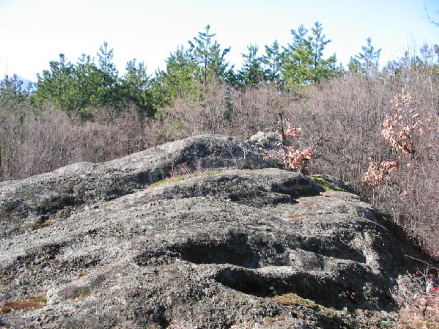 Gallery Picture 11