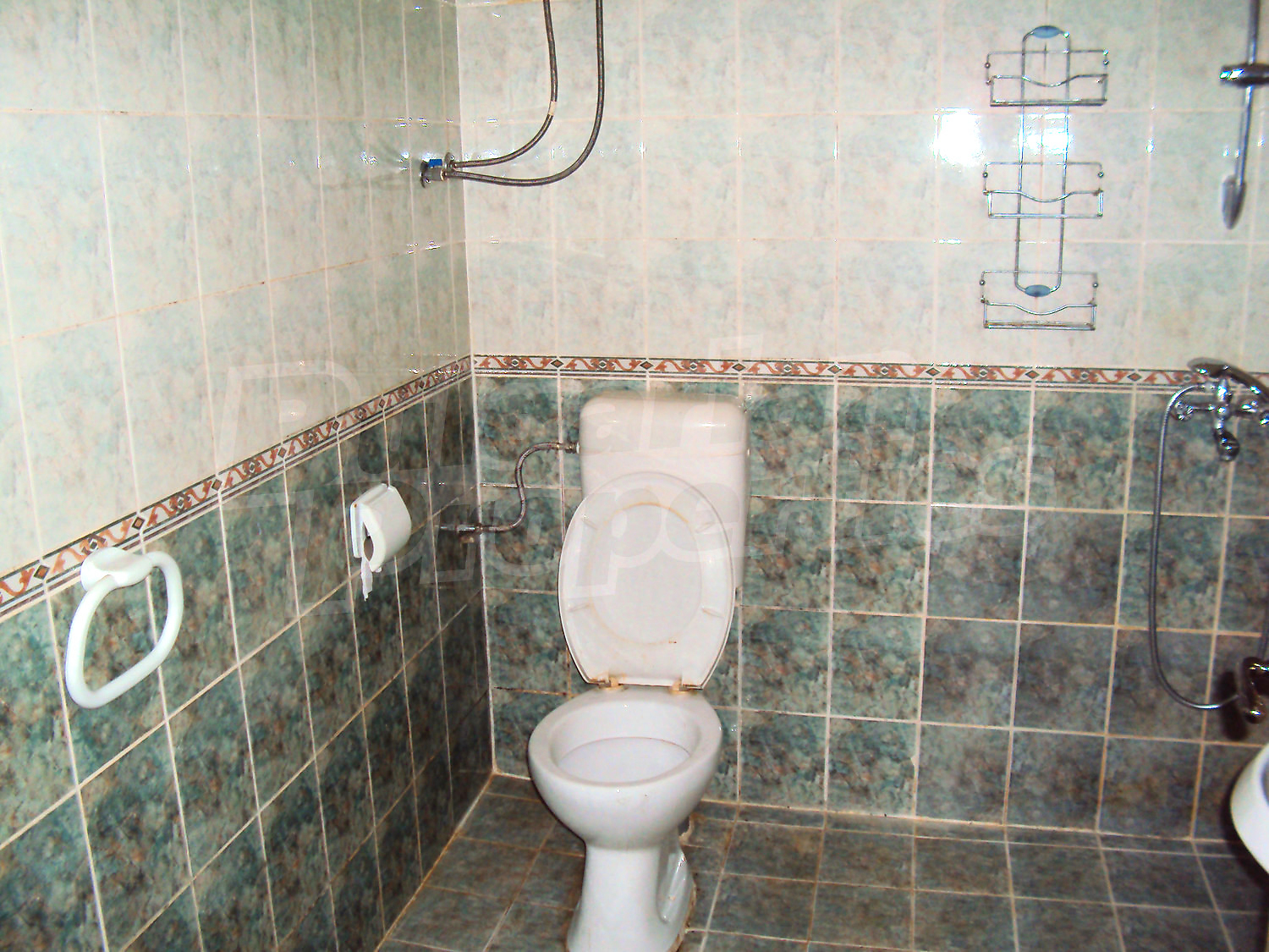 Gallery Picture 38