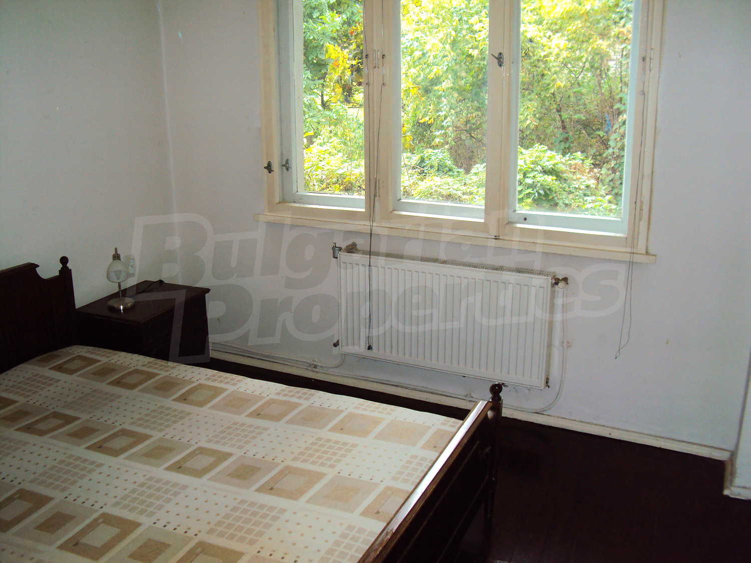 Gallery Picture 42
