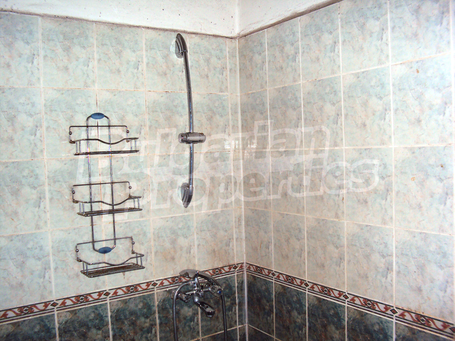 Gallery Picture 45
