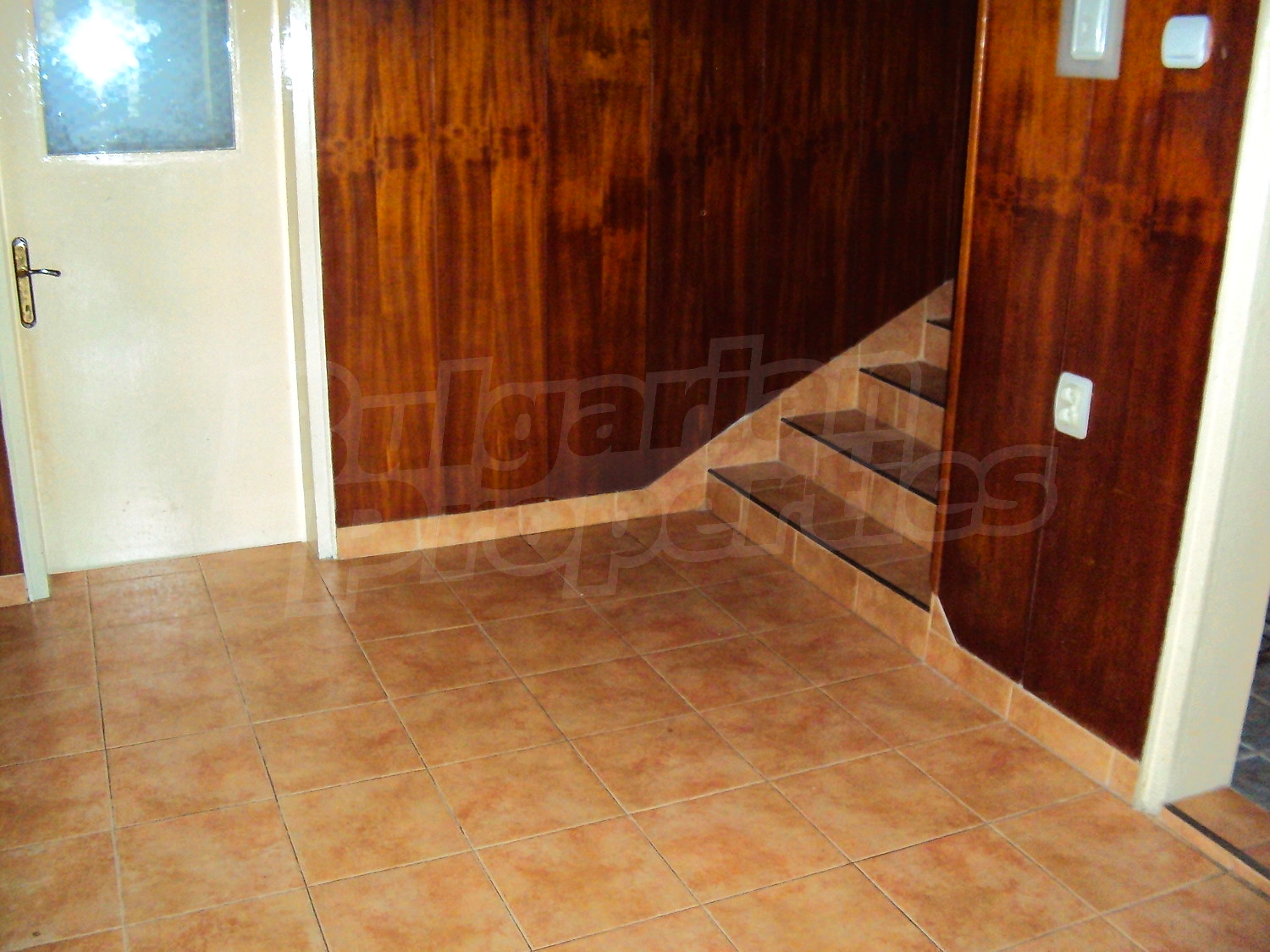 Gallery Picture 46