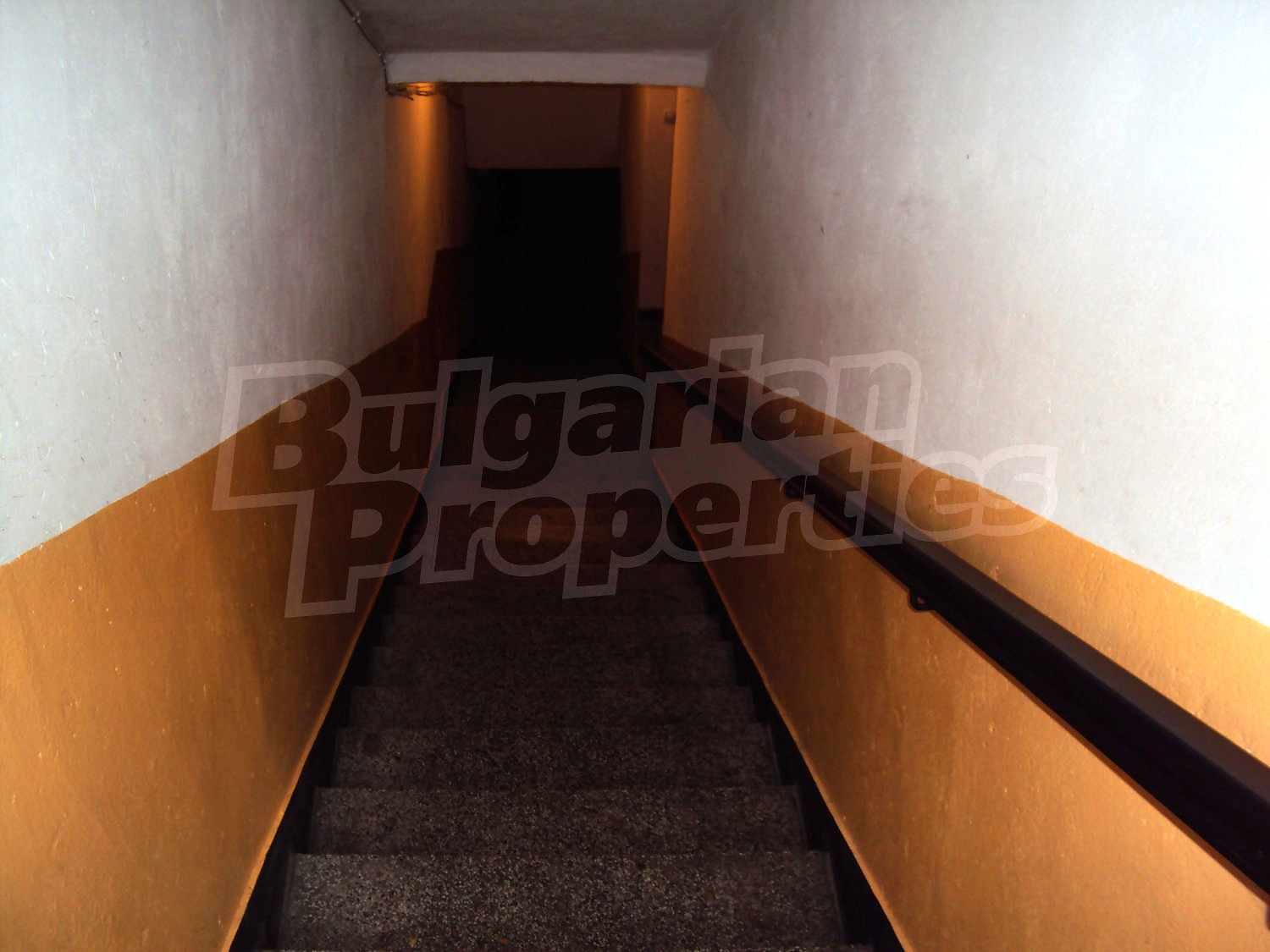 Gallery Picture 47