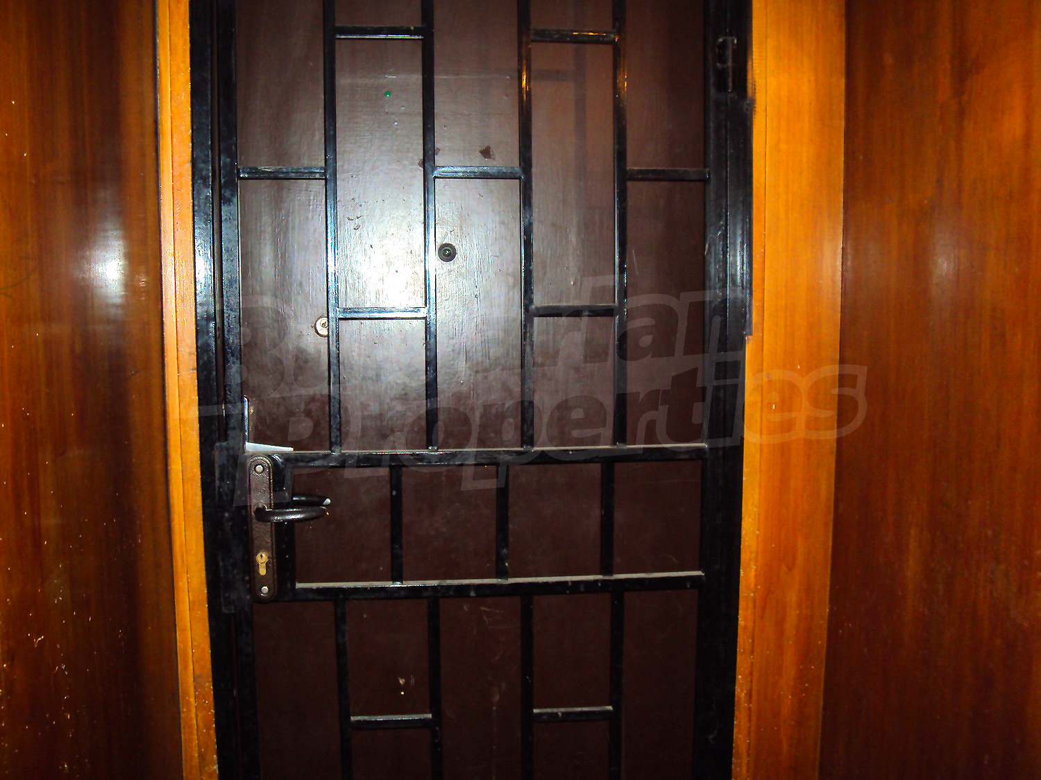 Gallery Picture 49