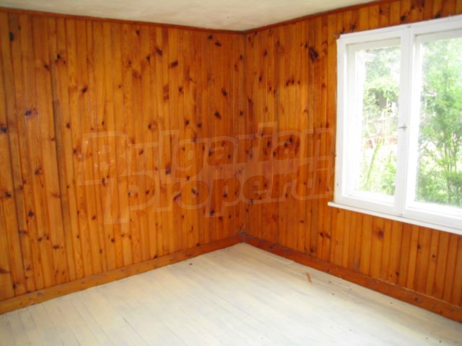 Gallery Picture 14