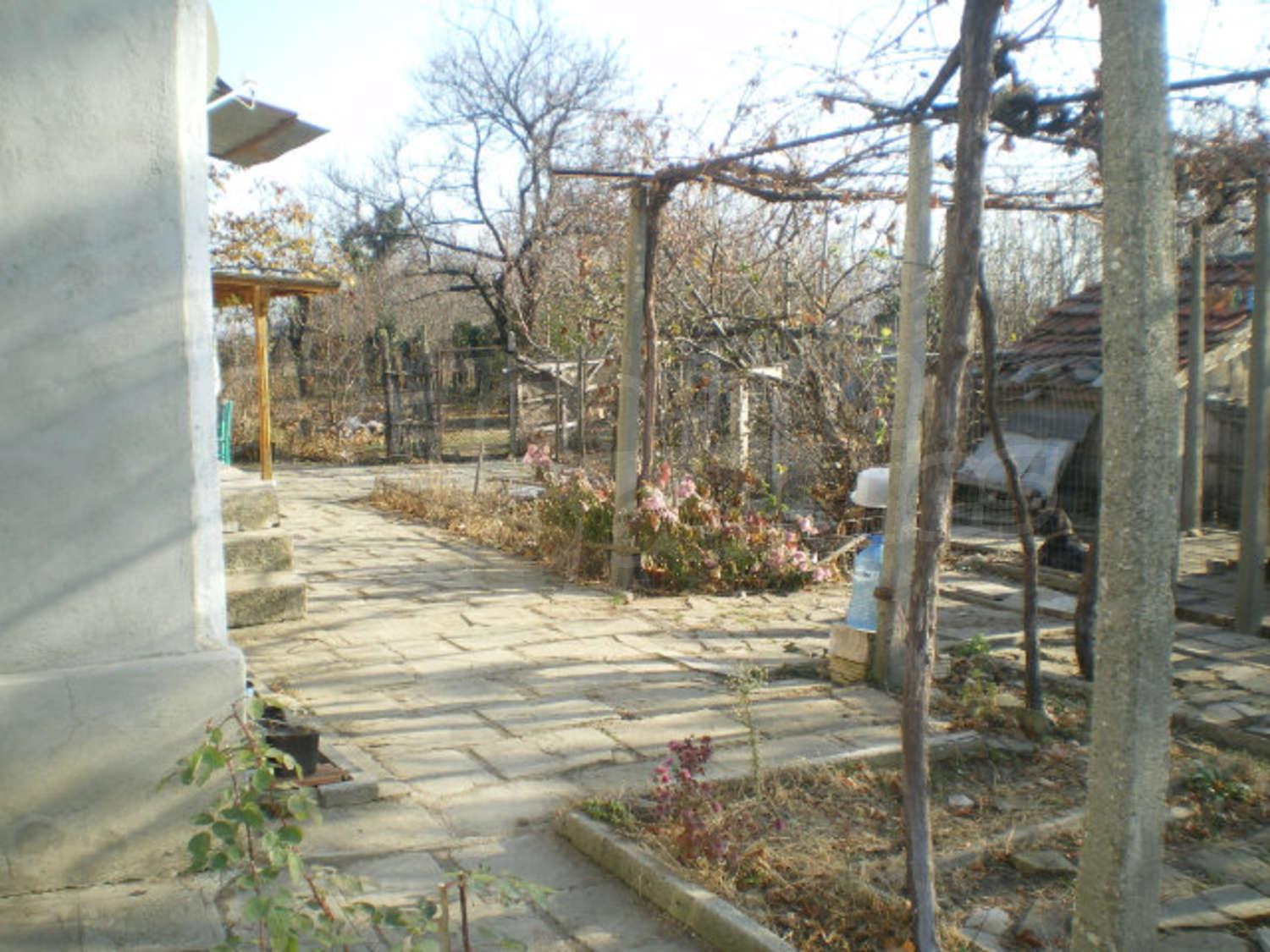 Gallery Picture 18