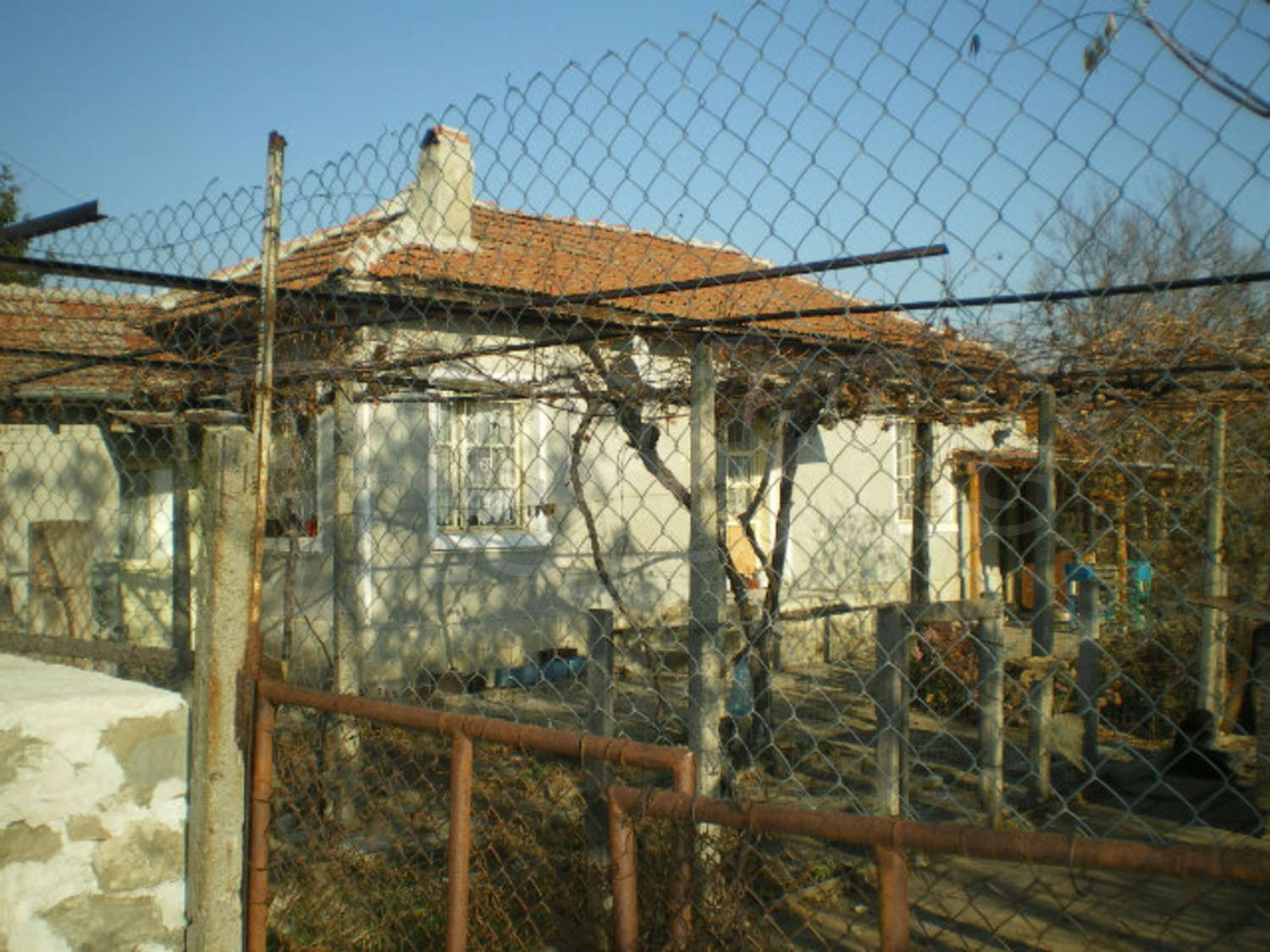 Gallery Picture 19
