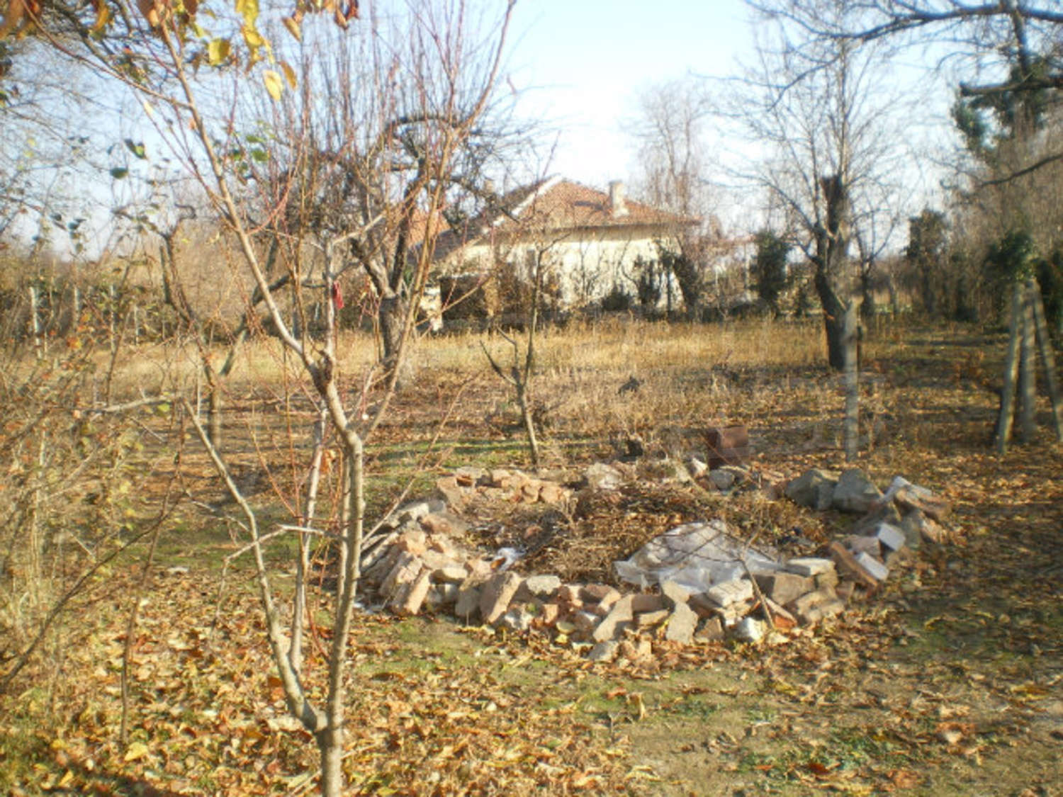 Gallery Picture 22