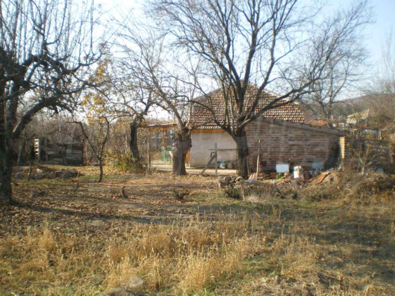 Gallery Picture 23