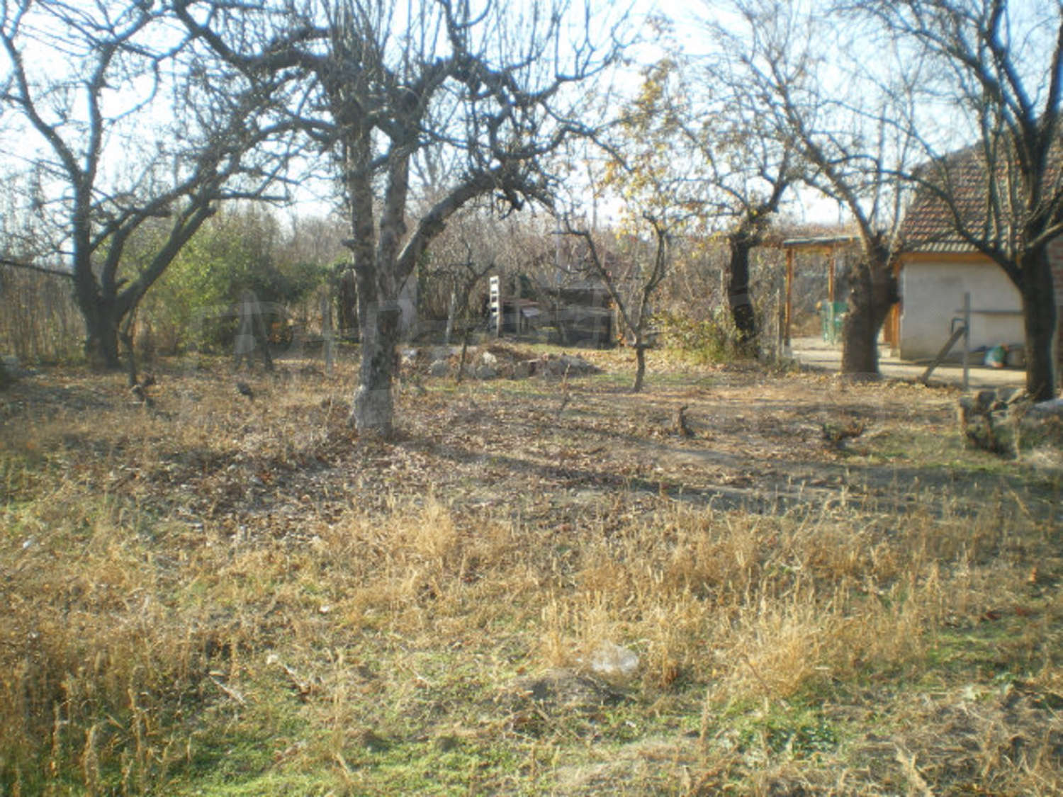 Gallery Picture 24