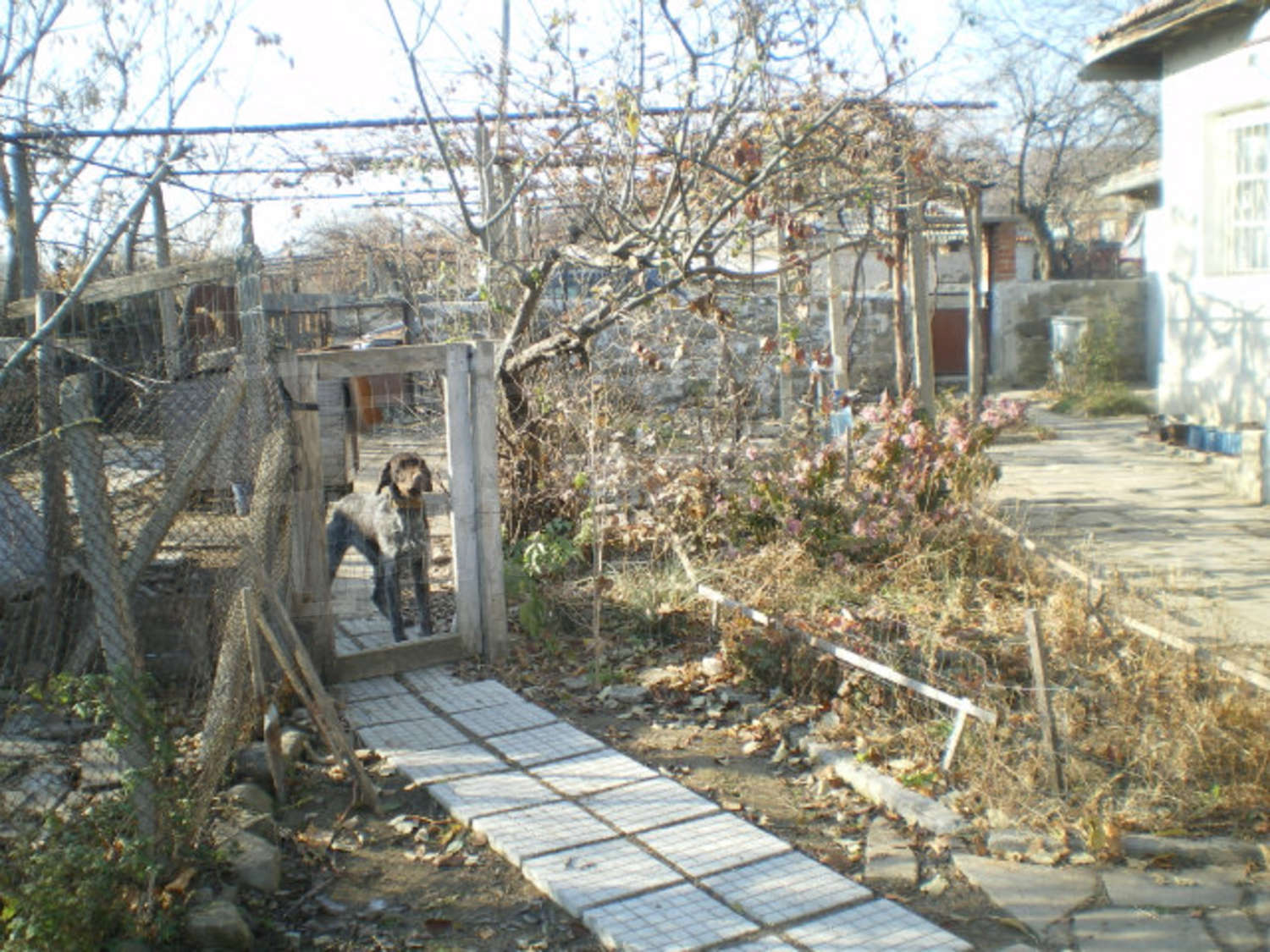 Gallery Picture 25