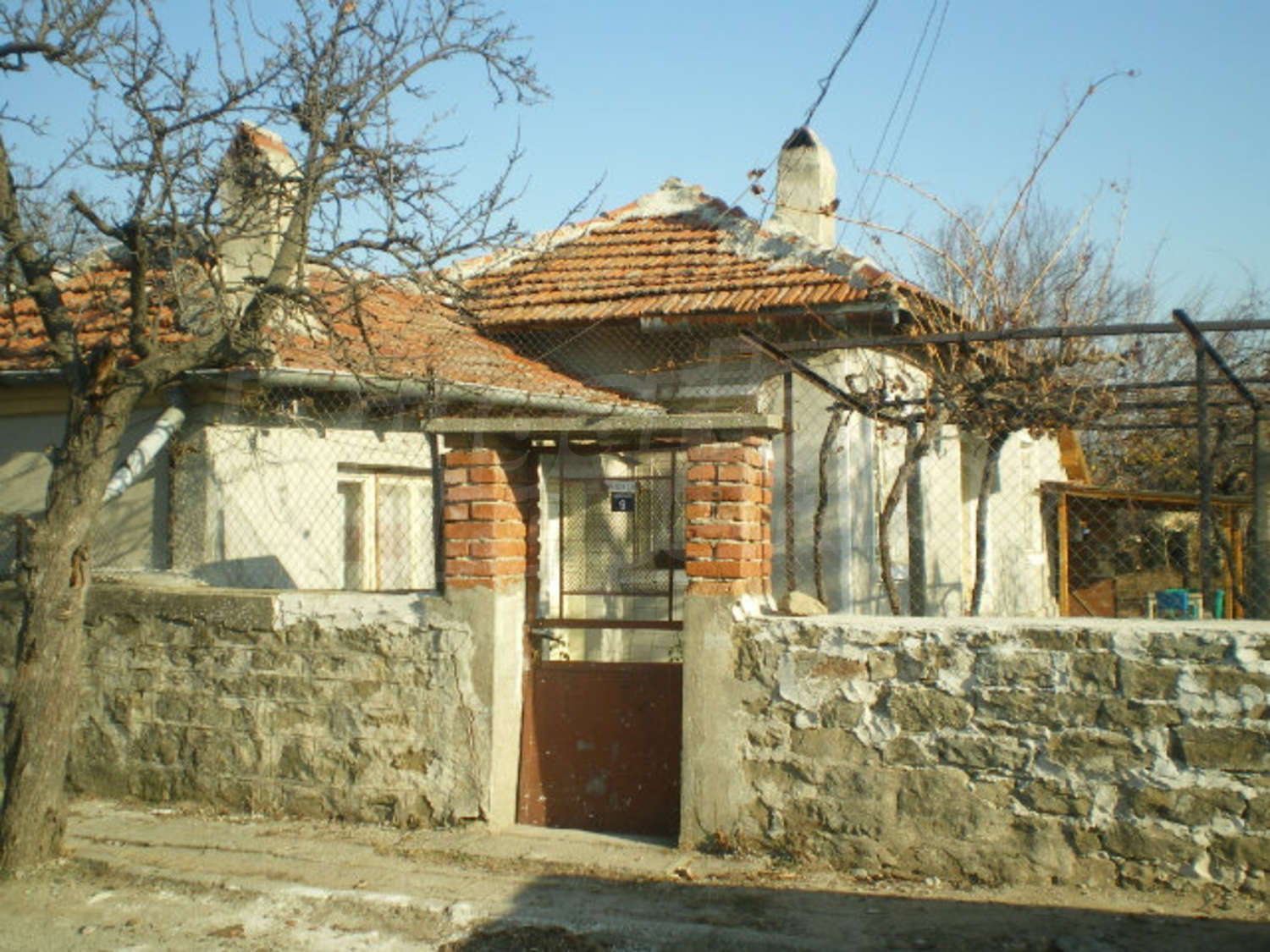 Gallery Picture 26