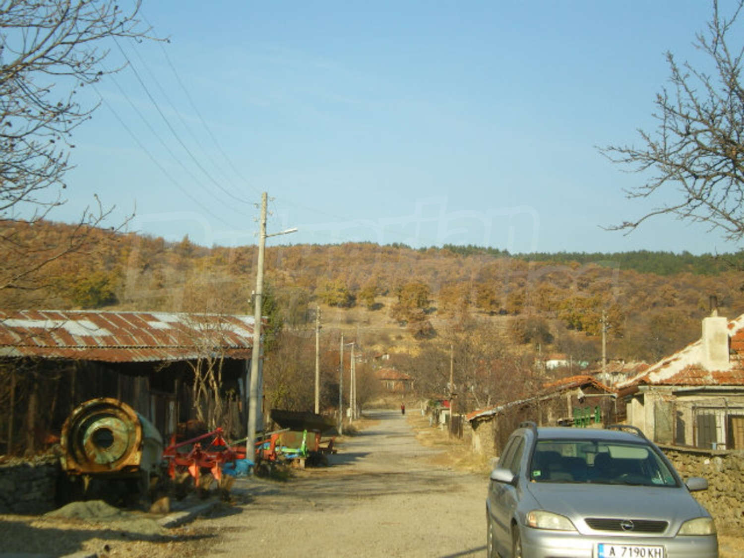 Gallery Picture 27