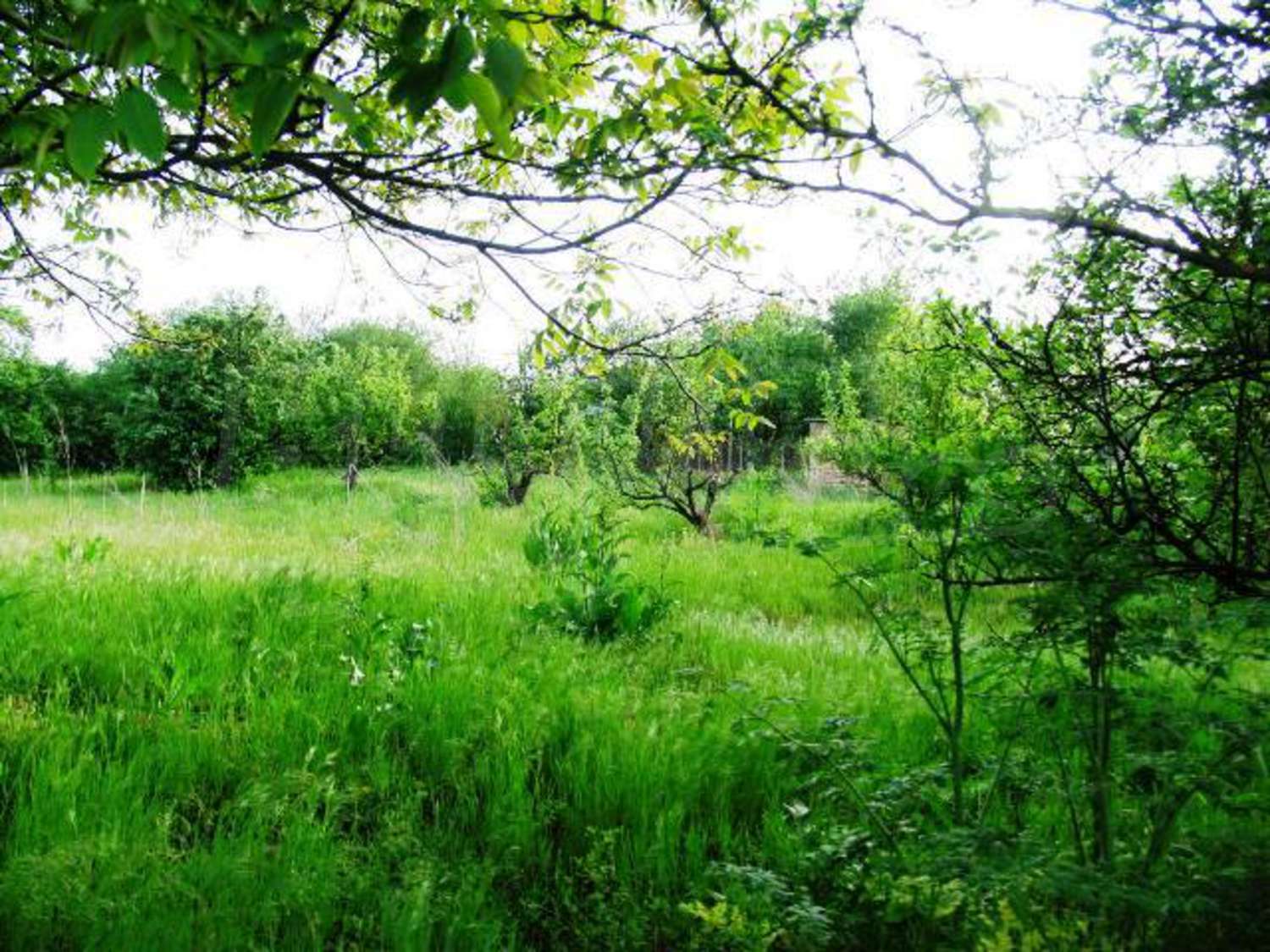 Gallery Picture 10