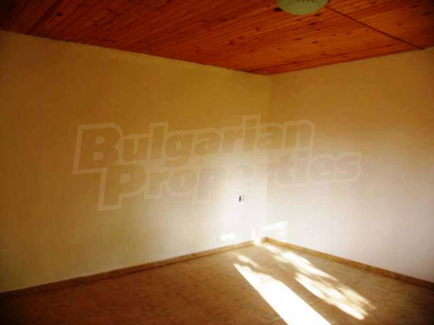Gallery Picture 18