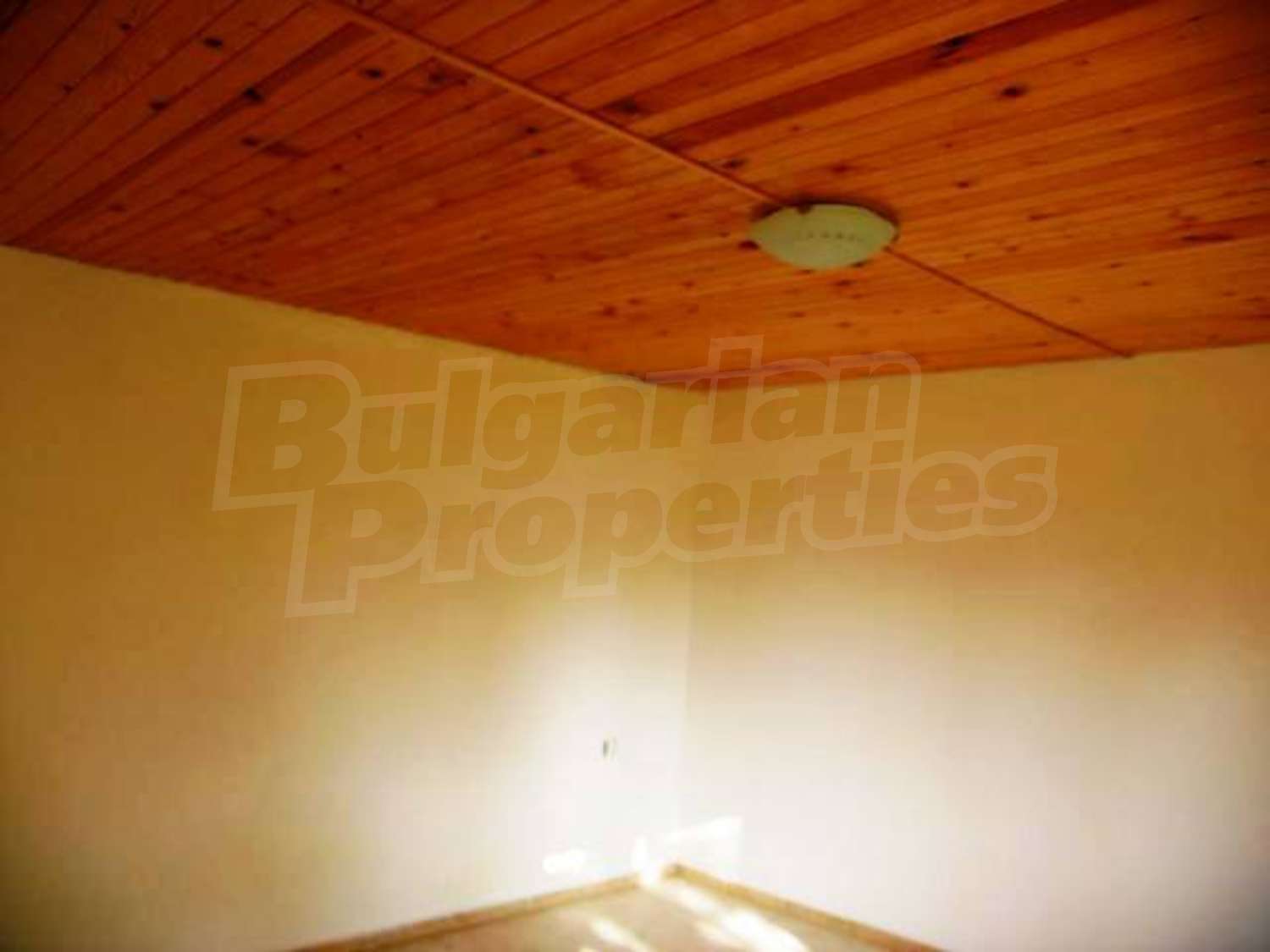 Gallery Picture 19