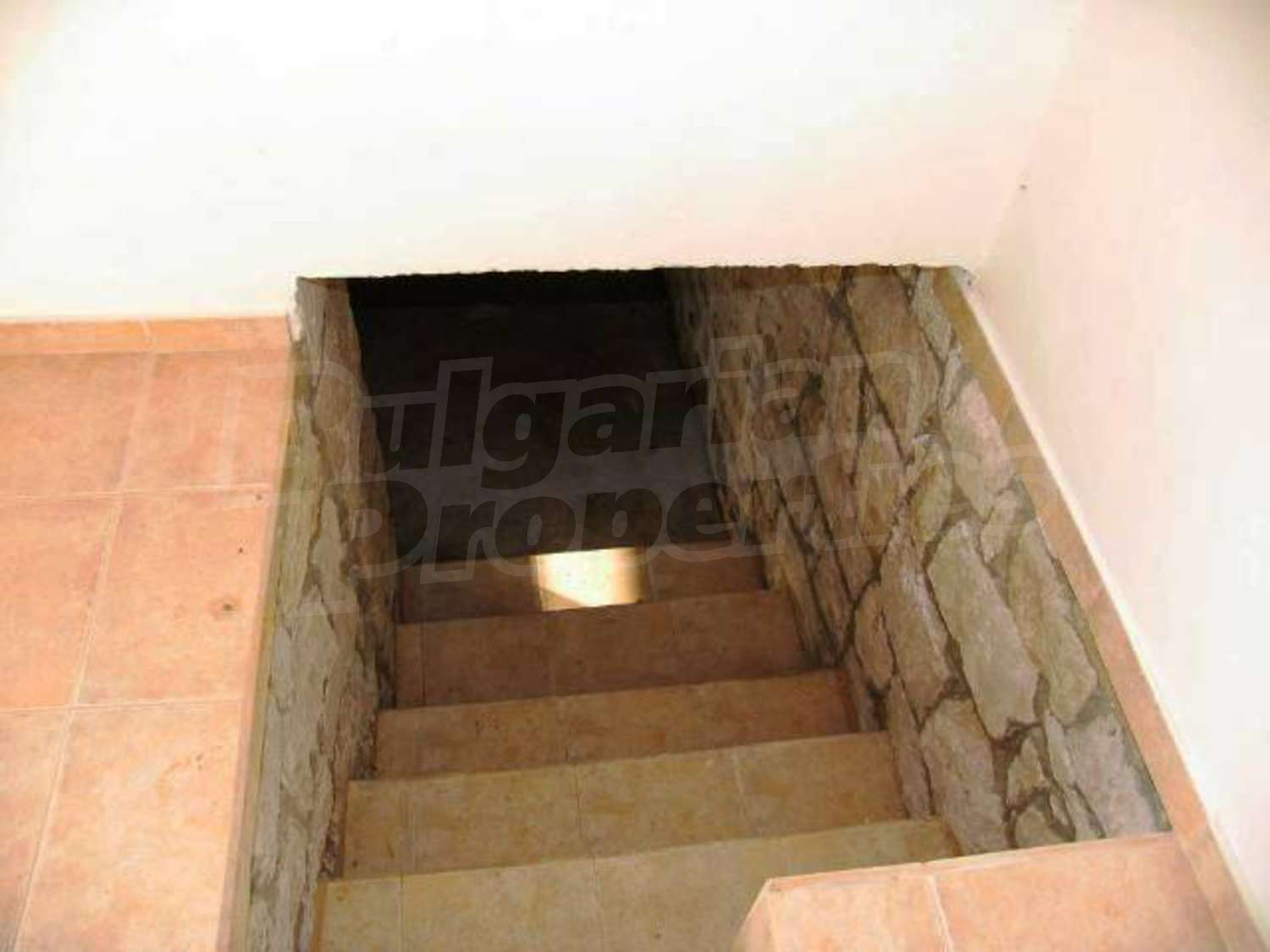 Gallery Picture 22