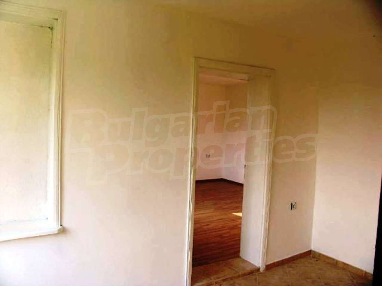 Gallery Picture 26