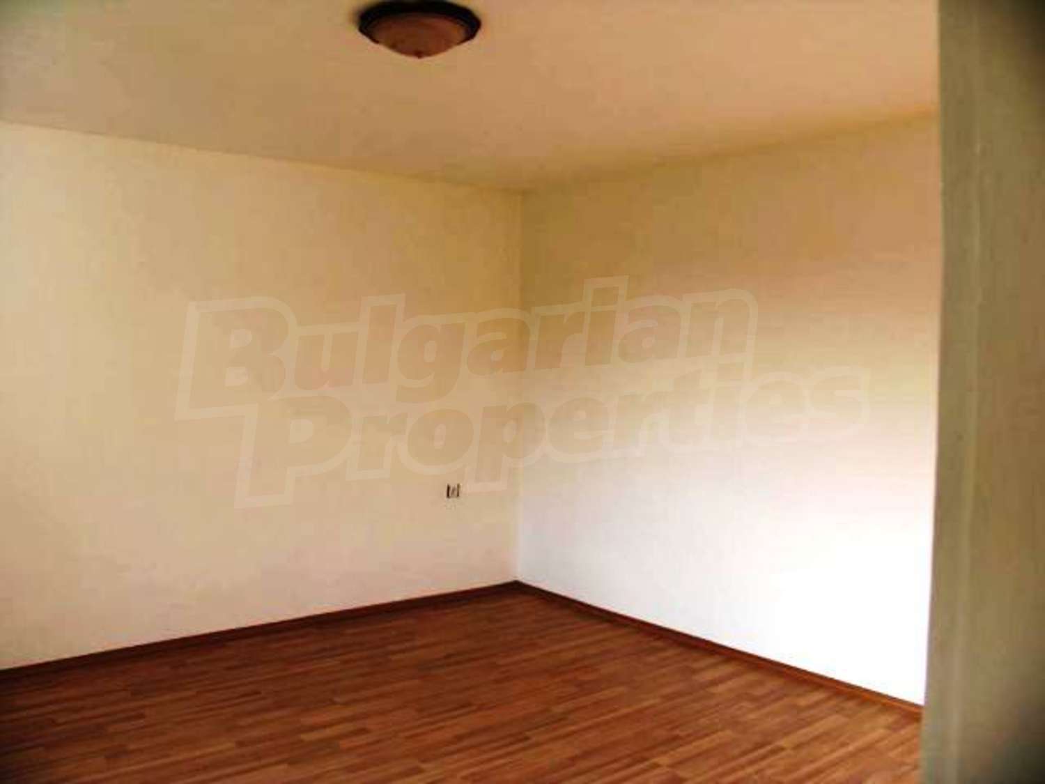 Gallery Picture 29