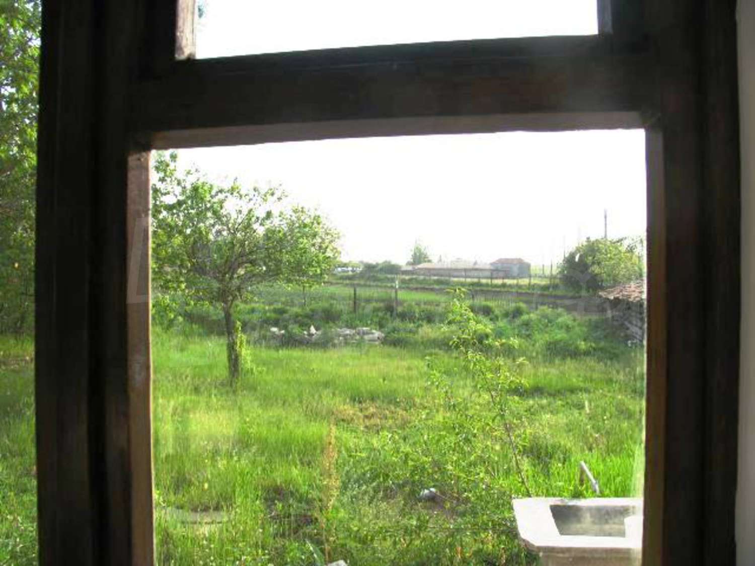 Gallery Picture 34